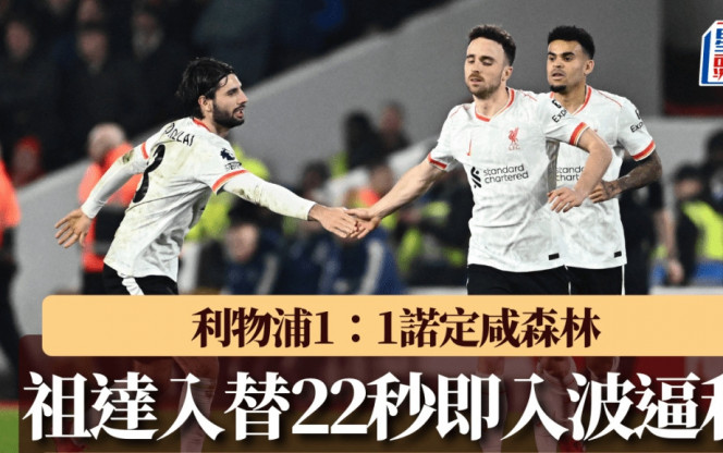 年卡塔爾世